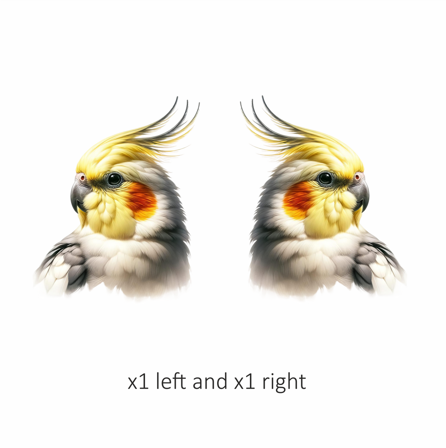 Yellow Cockatiel Parrot With Orange Cheek Vinyl Sticker Decal