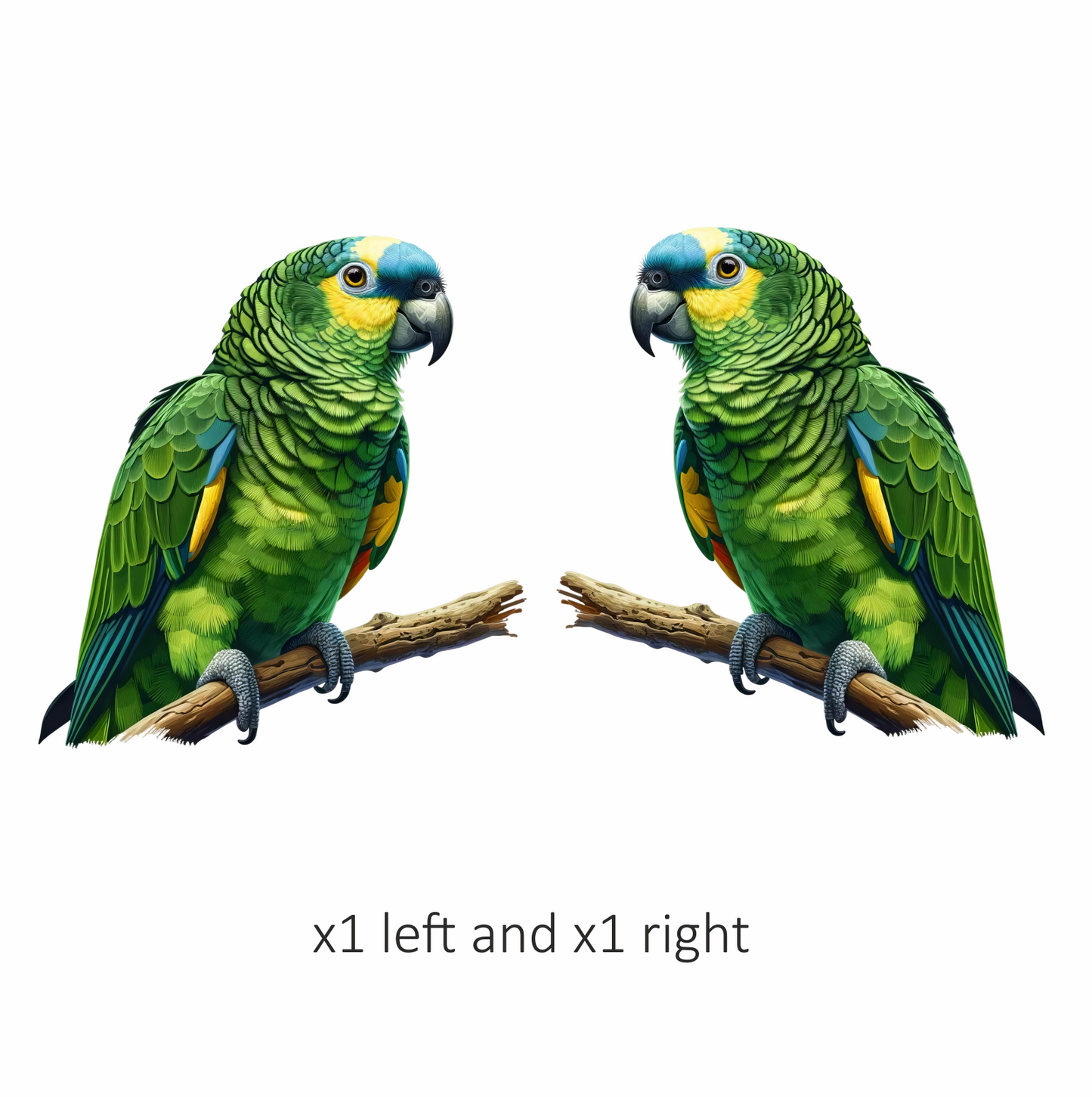 Green Parrot Amazon Sitting On Branch Vinyl Sticker Decal