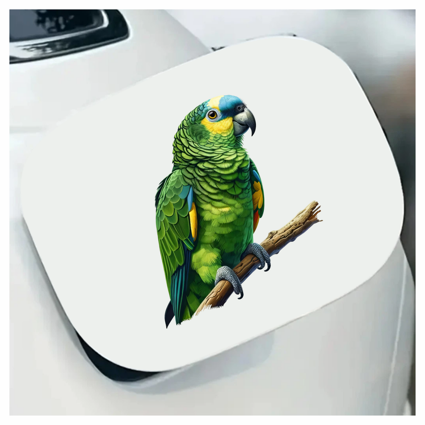 Green Parrot Amazon Sitting On Branch Vinyl Sticker Decal