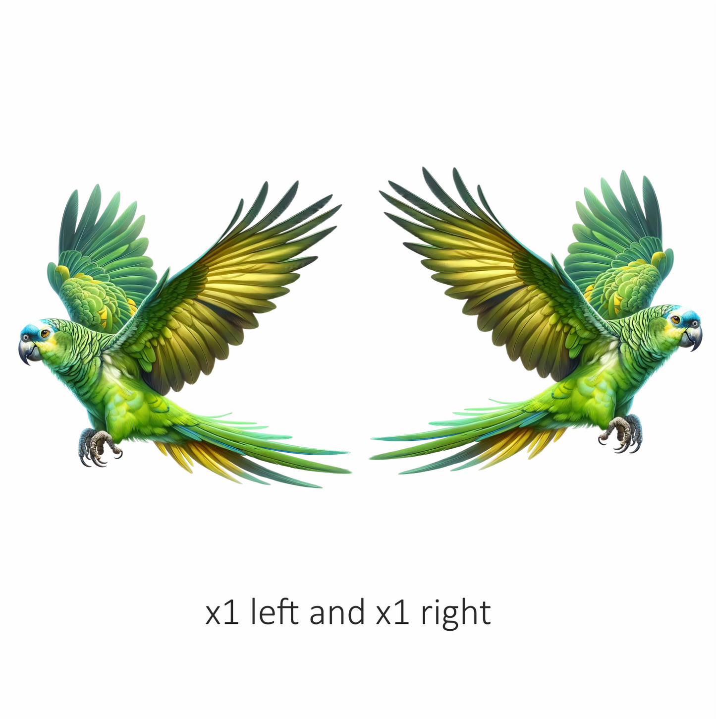 Green Parrot Amazon Flying With Wings Vinyl Sticker Decal