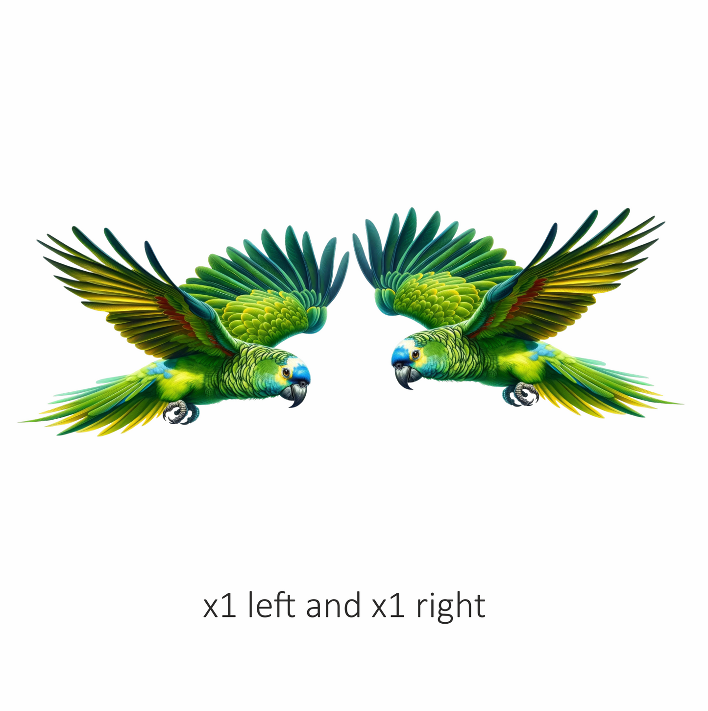 Green Parrot Amazon Flying With Feathers Vinyl Sticker Decal