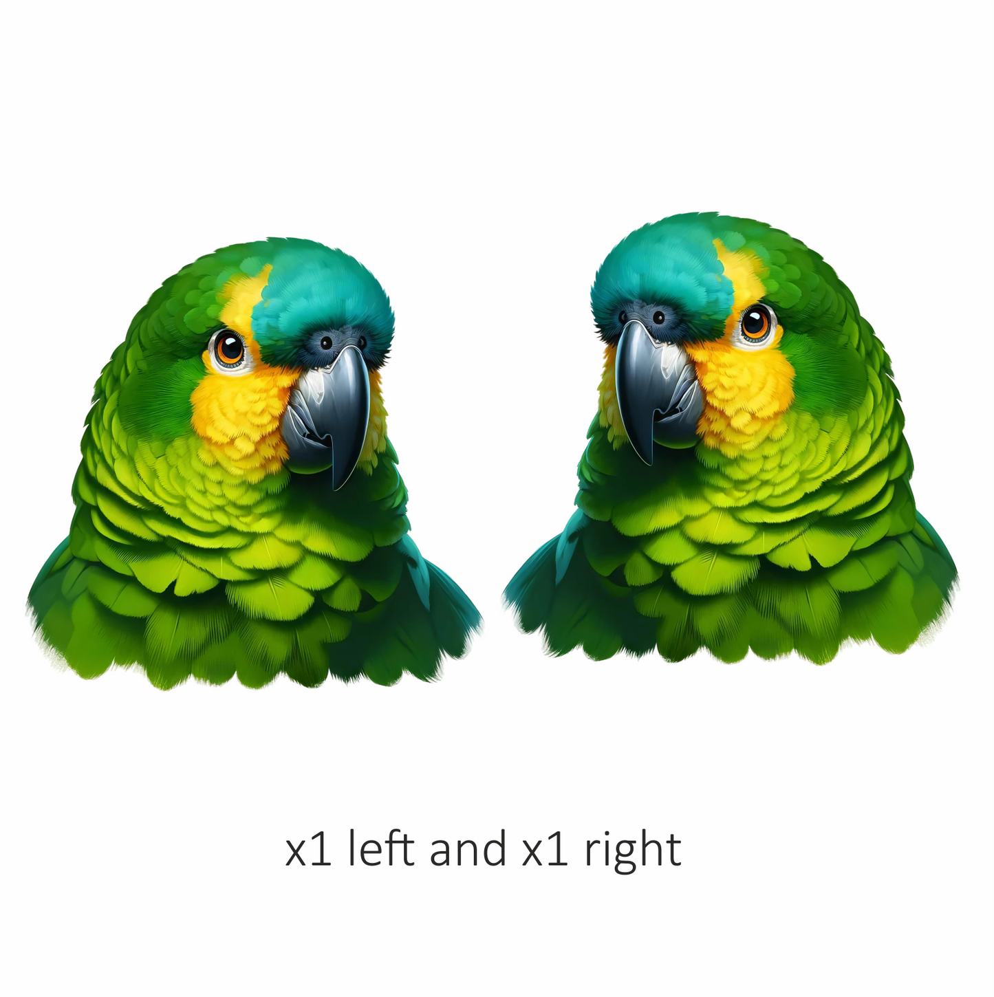 Green Parrot Amazon Head Close Up Vinyl Sticker Decal