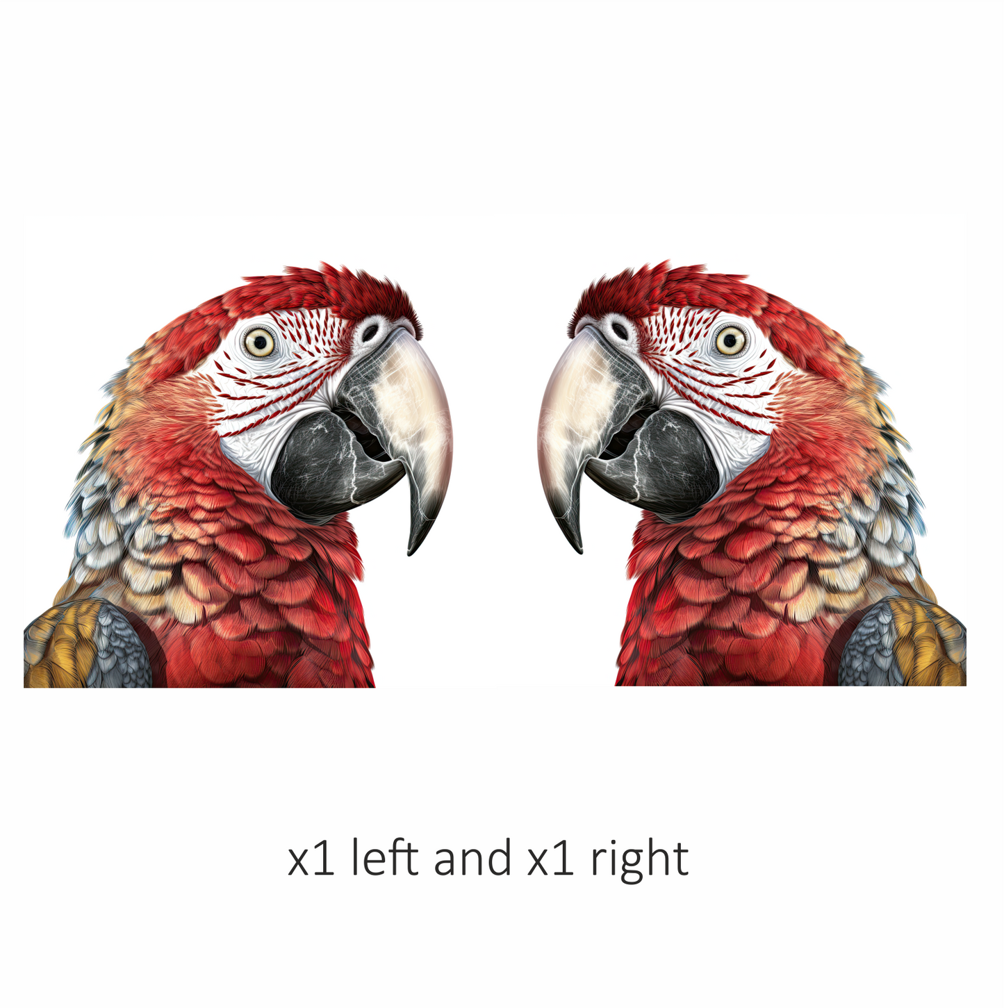 Red Macaw Parrot With Large Beak Vinyl Sticker Decal