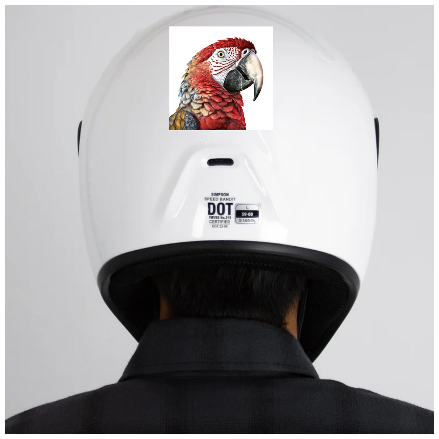 Red Macaw Parrot With Large Beak Vinyl Sticker Decal