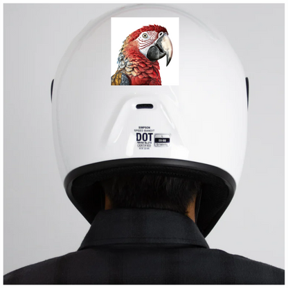 Red Macaw Parrot With Large Beak Vinyl Sticker Decal
