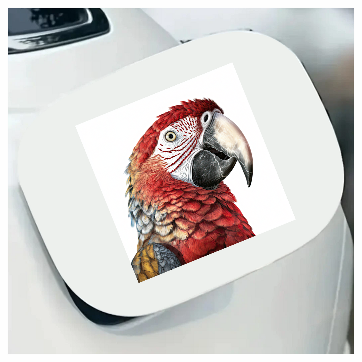 Red Macaw Parrot With Large Beak Vinyl Sticker Decal