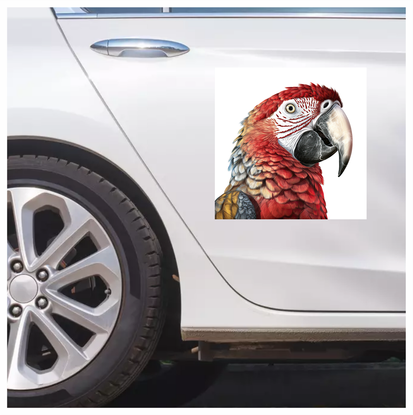Red Macaw Parrot With Large Beak Vinyl Sticker Decal