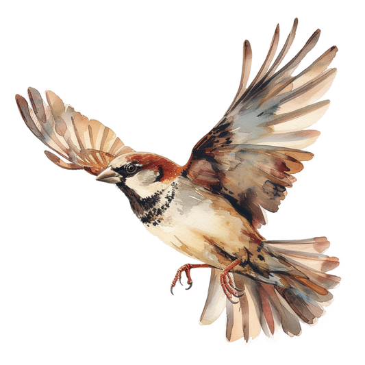 Brown Sparrow Bird With Open Wings Vinyl Sticker Decal