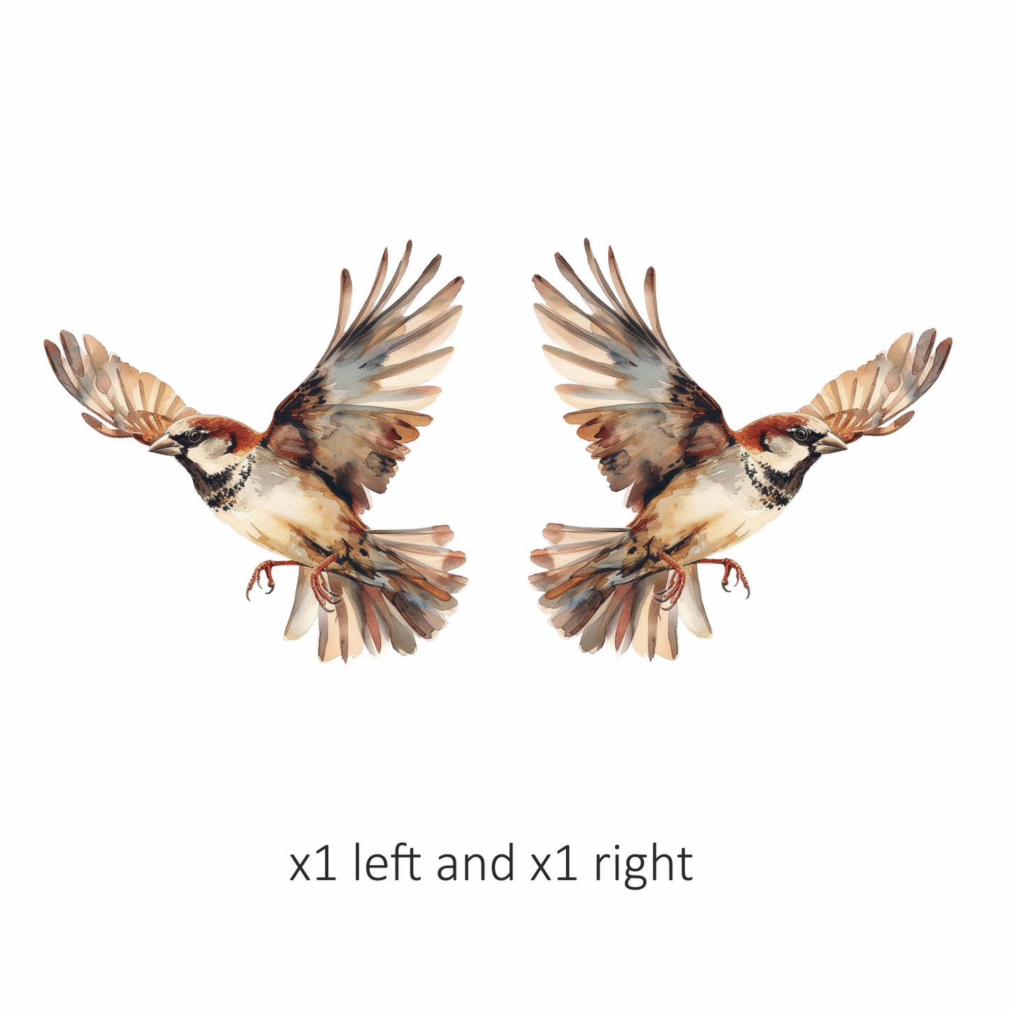 Brown Sparrow Bird With Open Wings Vinyl Sticker Decal