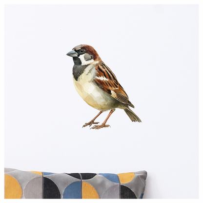 Brown Sparrow Bird With Black Mark Vinyl Sticker Decal