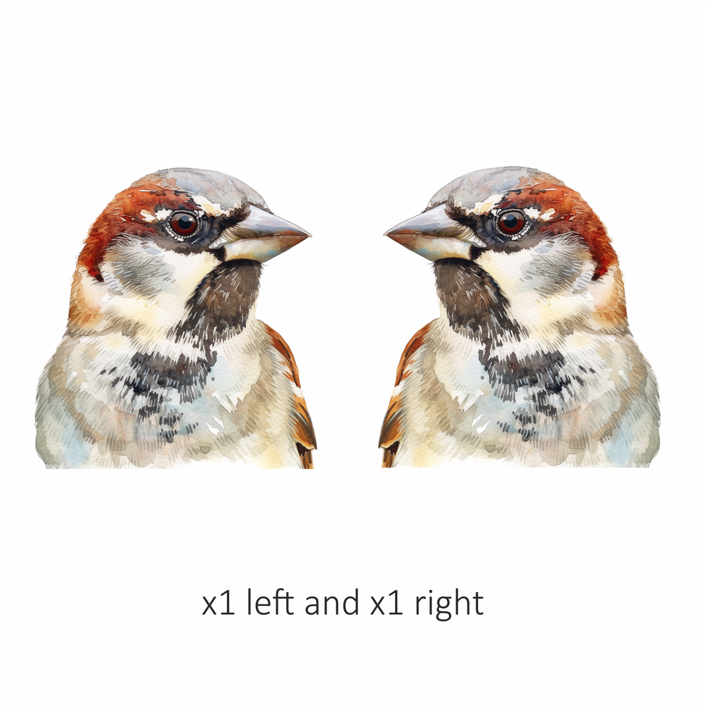 Brown Sparrow Bird With Black Throat Vinyl Sticker Decal