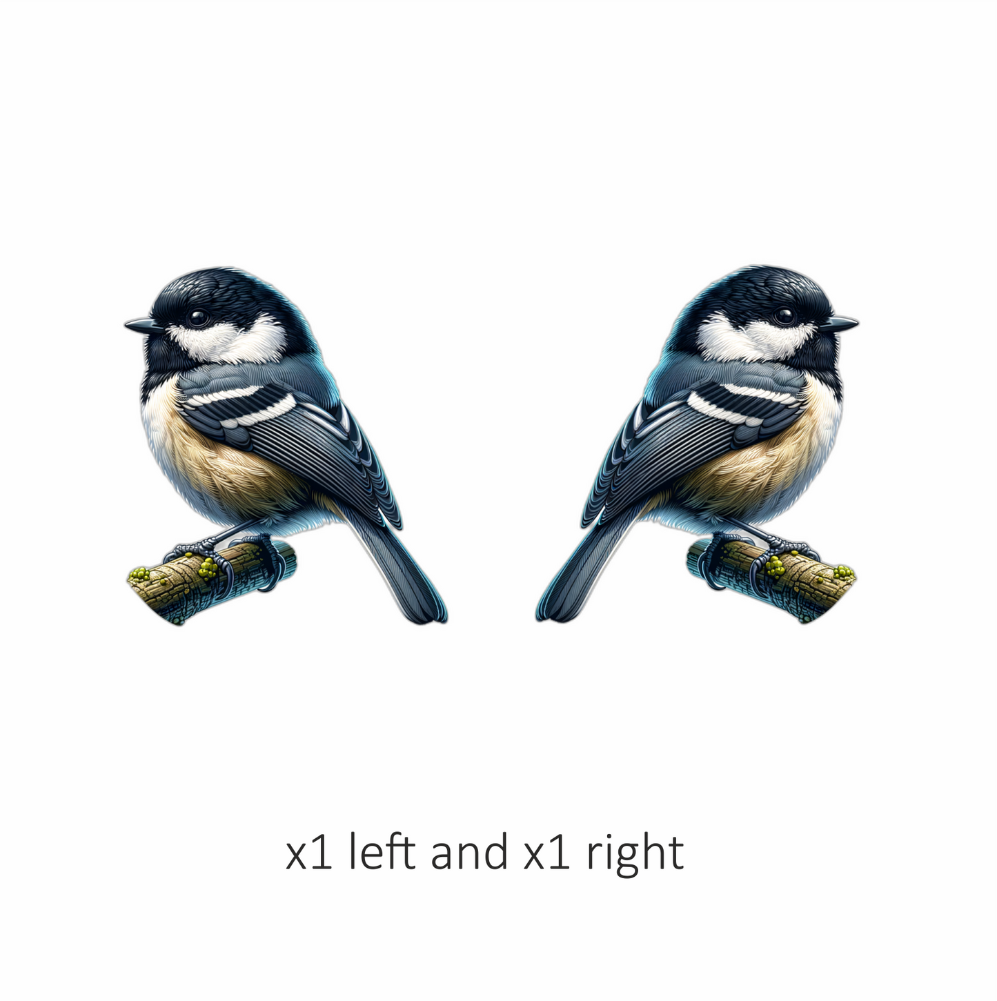 Black Tit Bird With White Chest Vinyl Sticker Decal