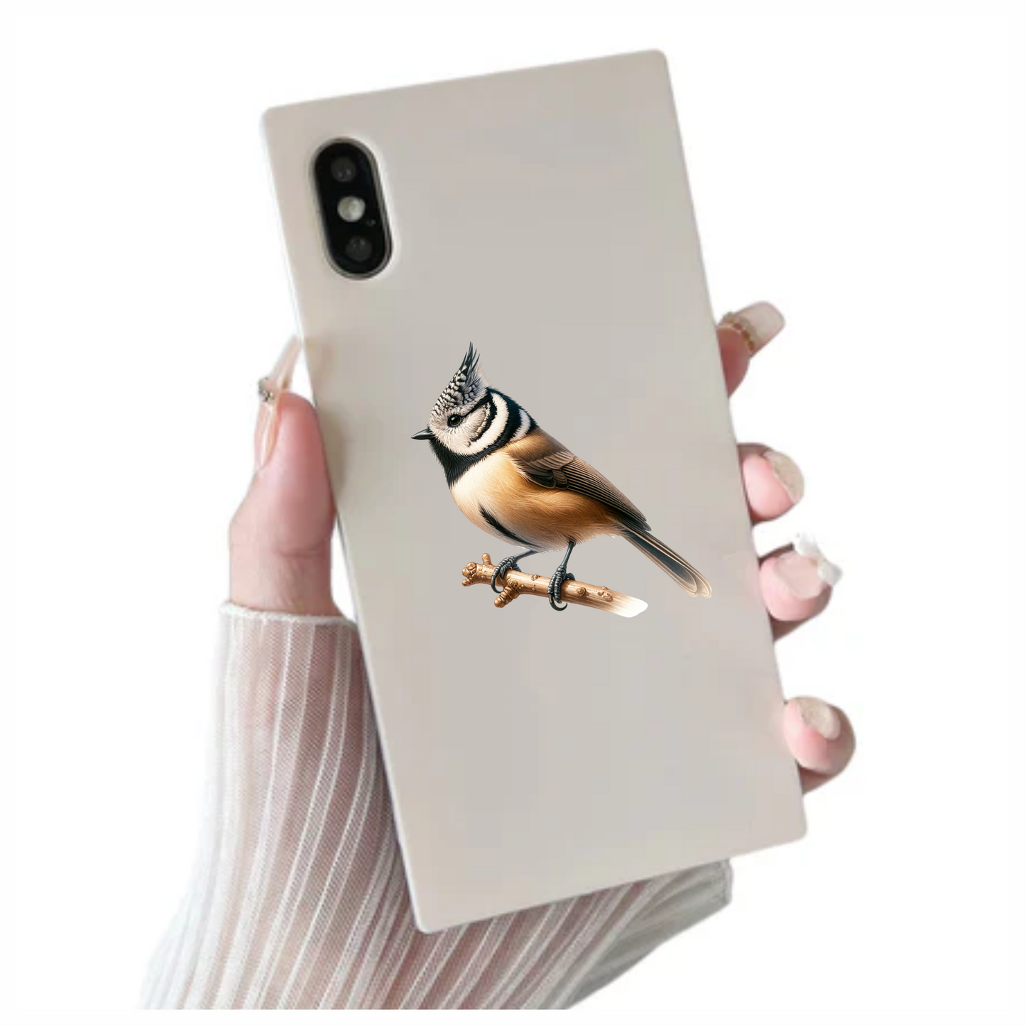 Brown Crested Tit Bird With Branch Vinyl Sticker Decal