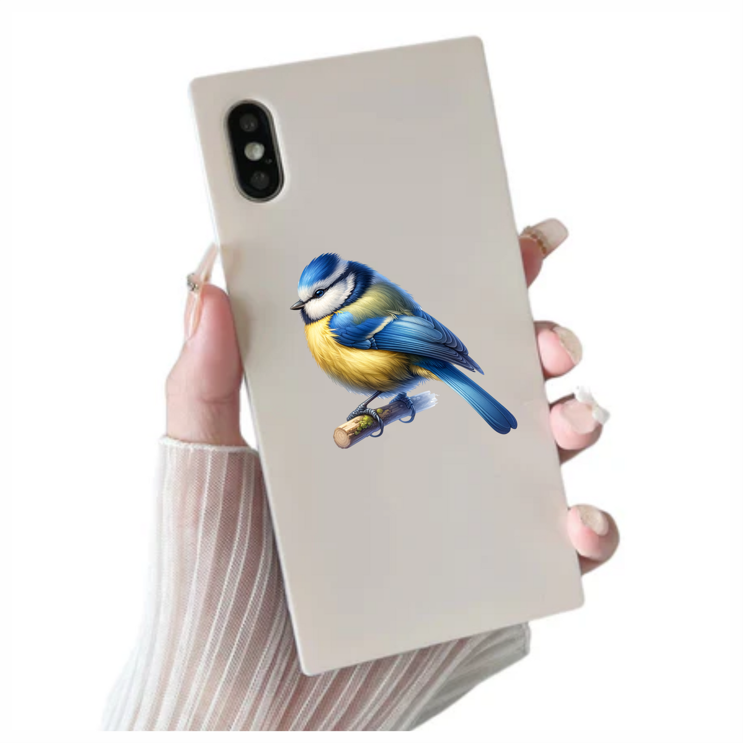 Blue Eurasian Blue Tit On Branch Vinyl Sticker Decal