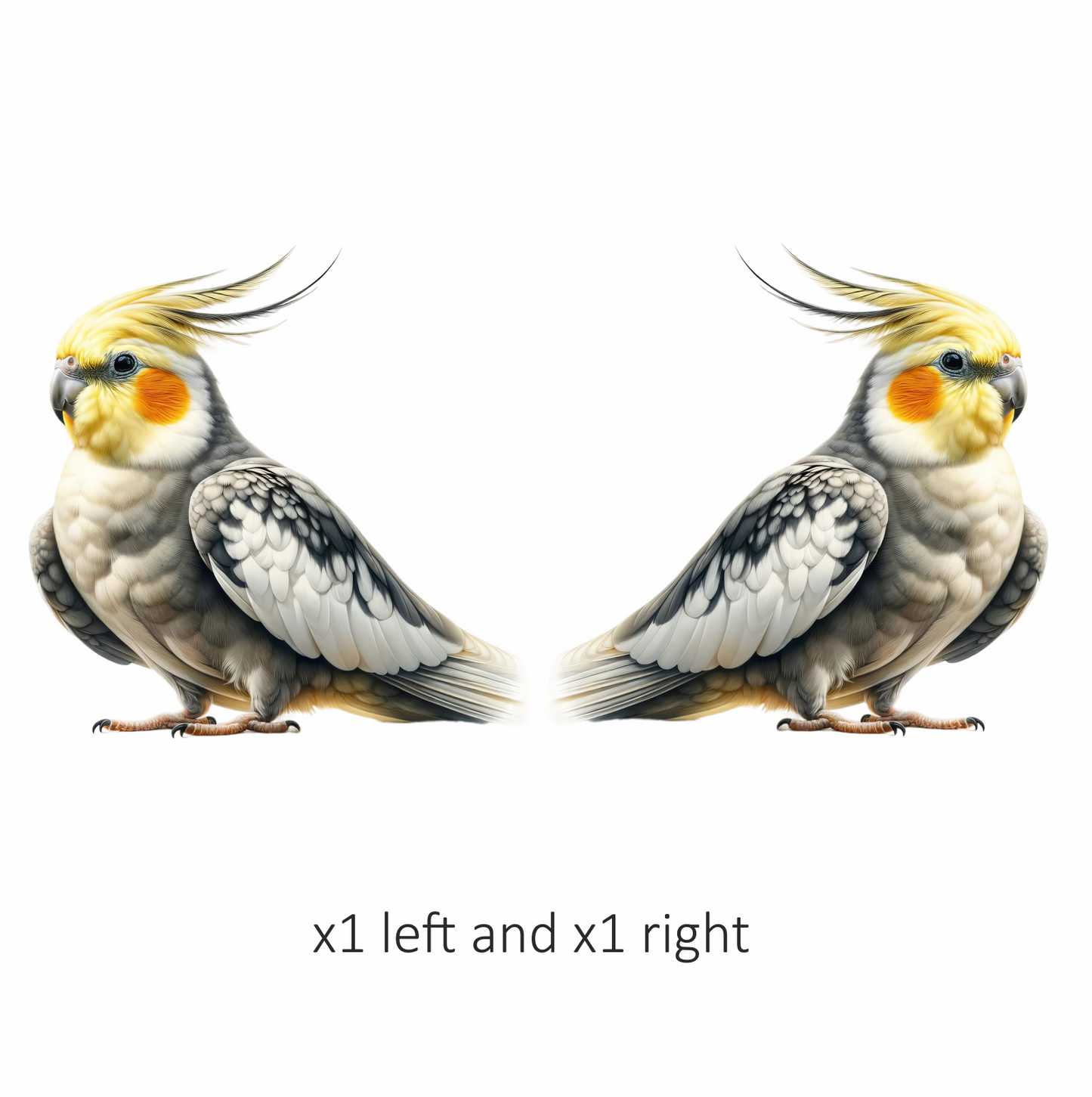 Grey Cockatiel Bird With Yellow Head Vinyl Sticker Decal