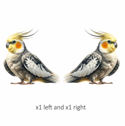 Grey Cockatiel Bird With Yellow Head Vinyl Sticker Decal