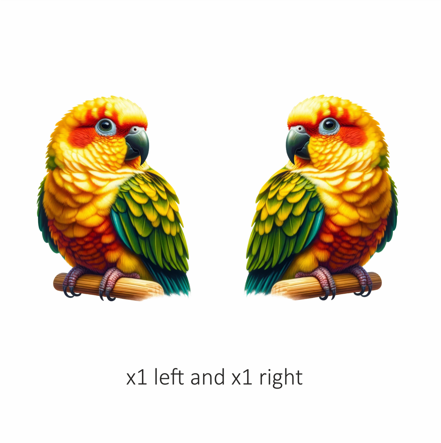 Yellow Sun Conure Parrot With Perch Vinyl Sticker Decal