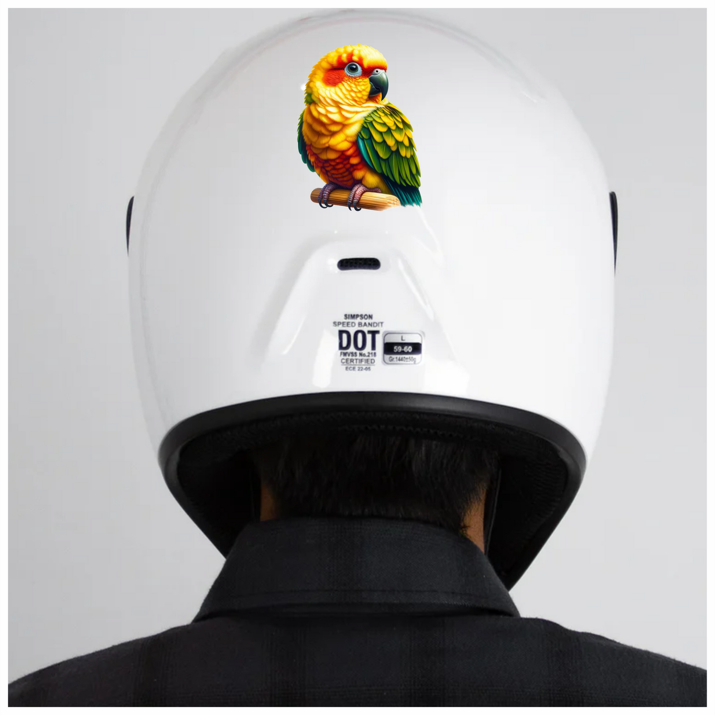Yellow Sun Conure Parrot With Perch Vinyl Sticker Decal