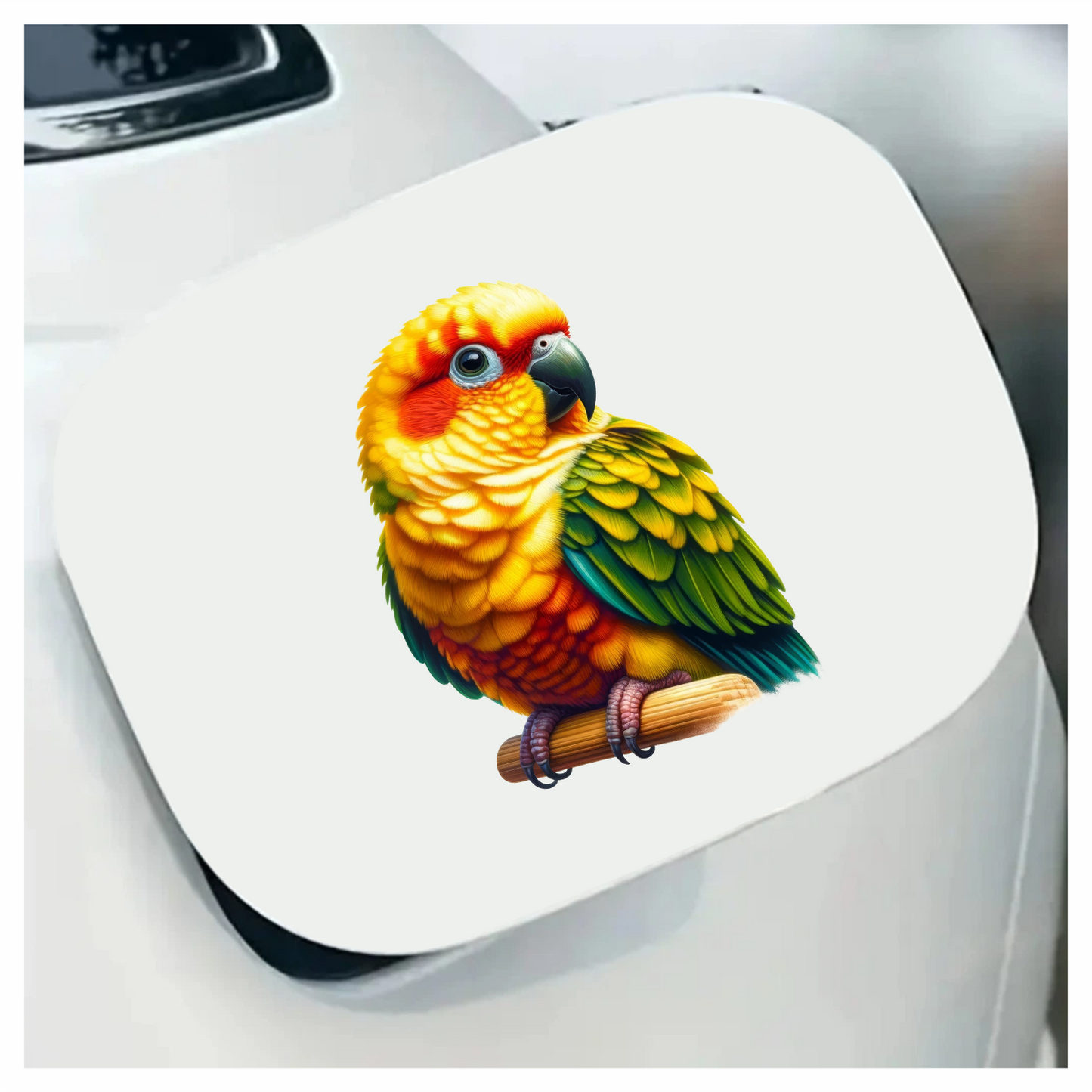 Yellow Sun Conure Parrot With Perch Vinyl Sticker Decal