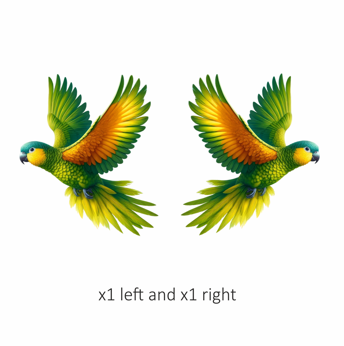 Green Parrot With Orange Wings Flying Vinyl Sticker Decal