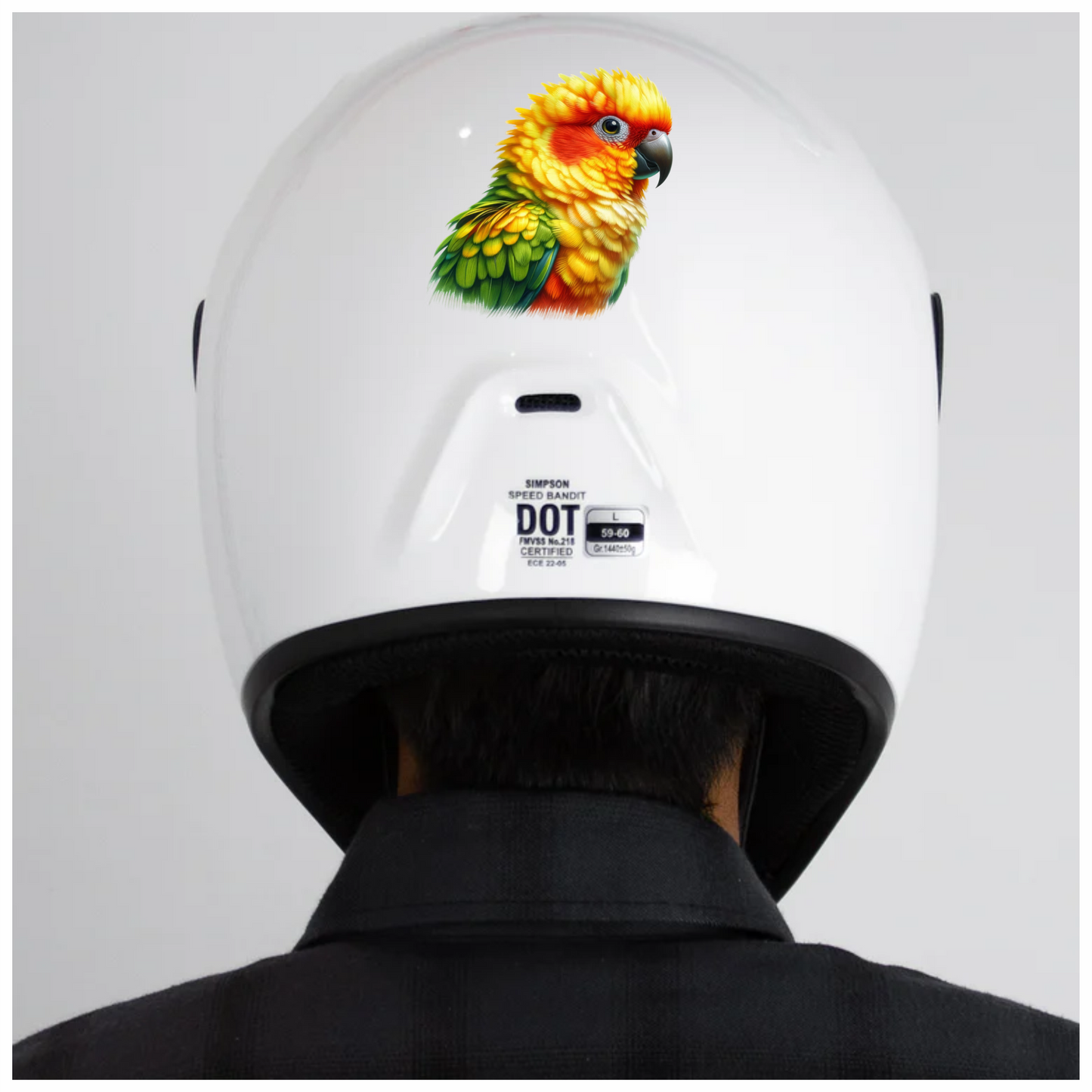 Yellow Sun Conure Parrot Close Up Vinyl Sticker Decal