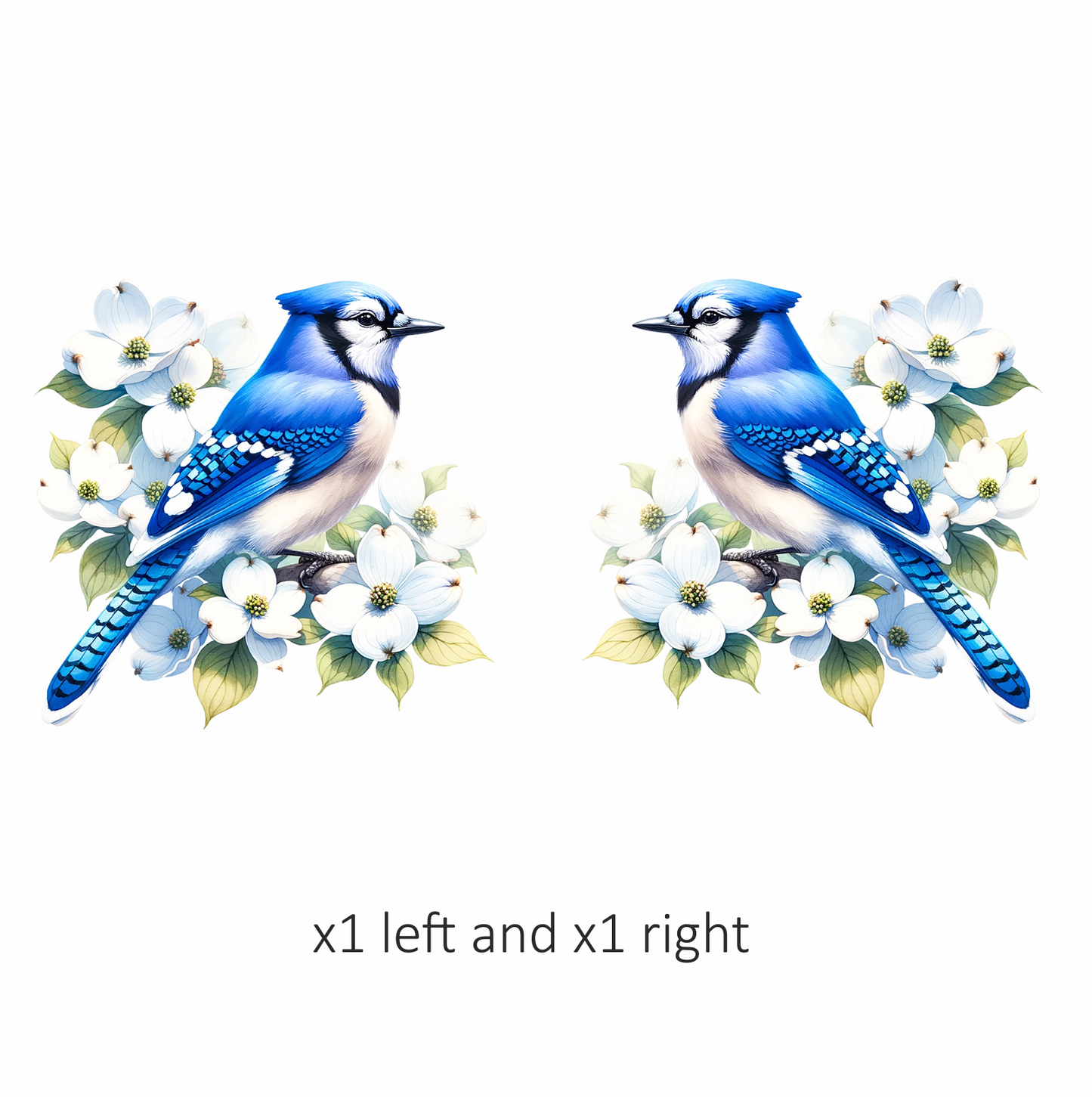 Blue Jay Bird With White Flowers Vinyl Sticker Decal
