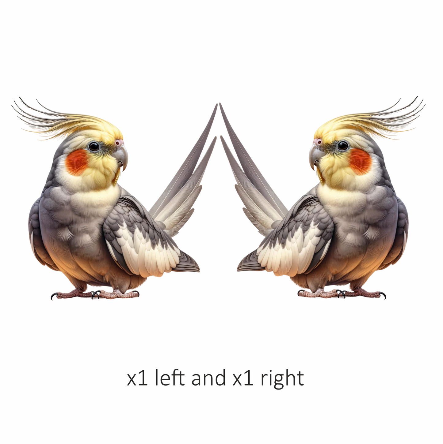 Grey Cockatiel Bird With Yellow Crest Vinyl Sticker Decal