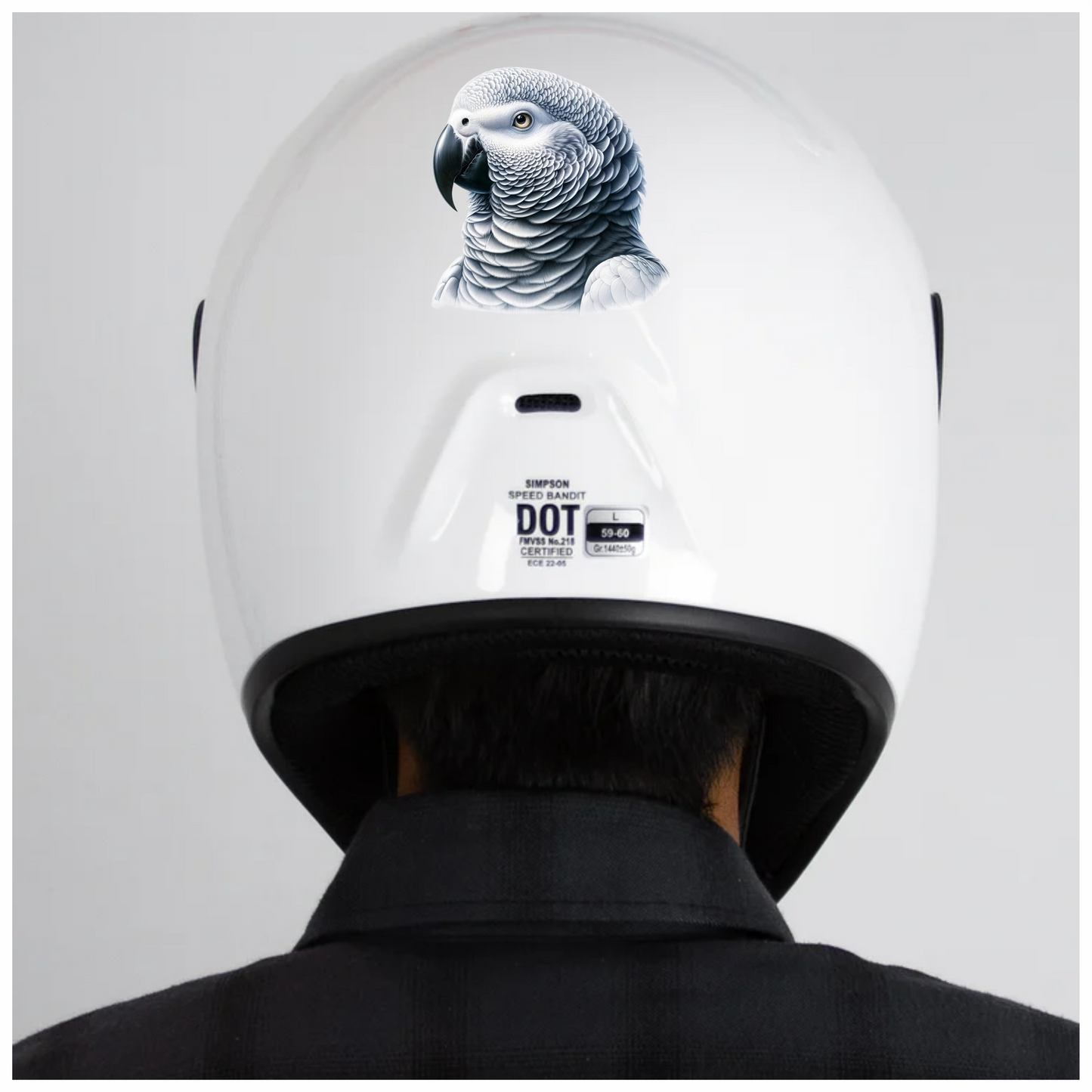 Grey Parrot Bird Head Close Up Vinyl Sticker Decal