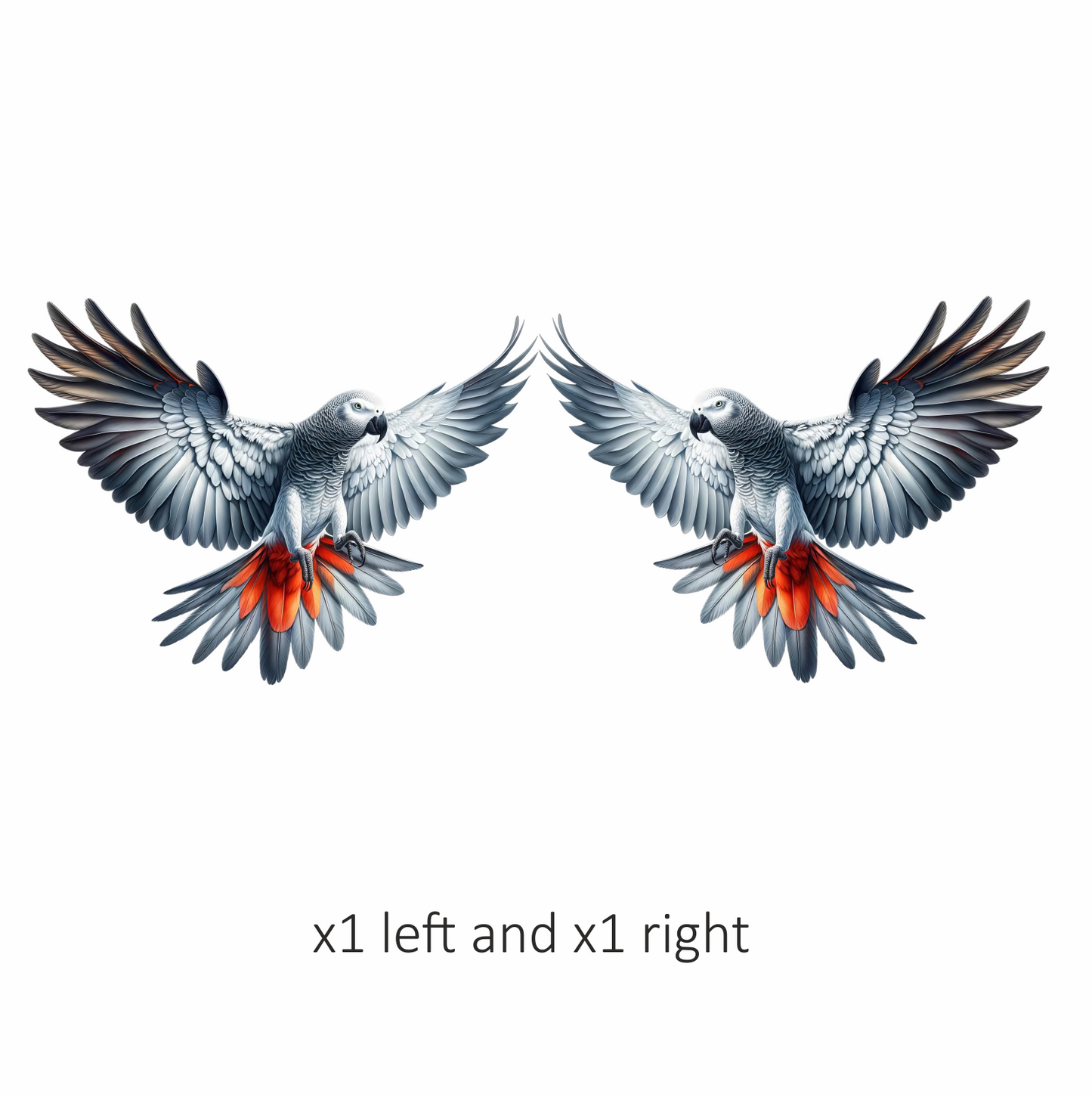 Grey Parrot Bird With Red Feathers Vinyl Sticker Decal