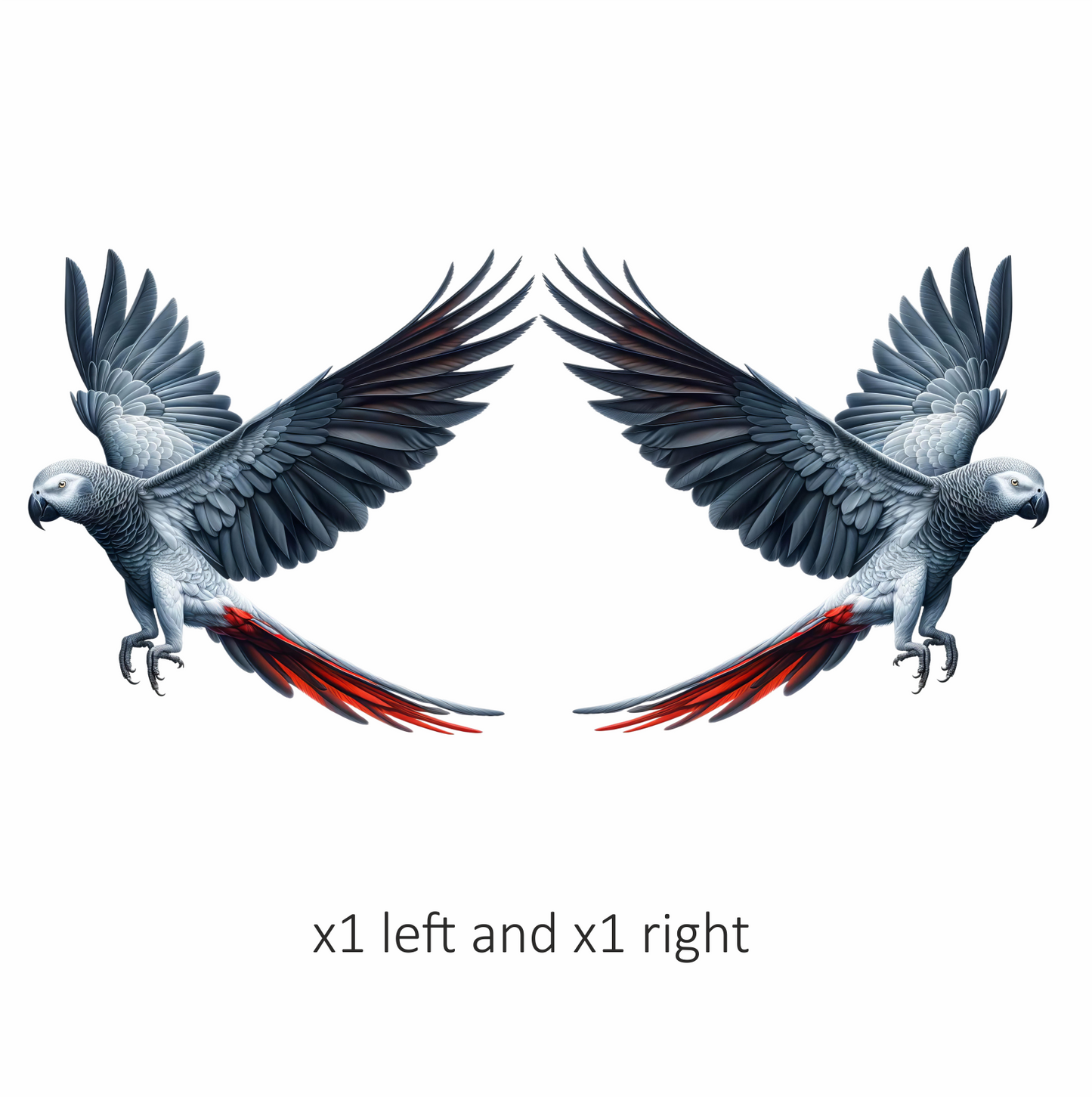 Grey Parrot Bird With Red Tail Vinyl Sticker Decal