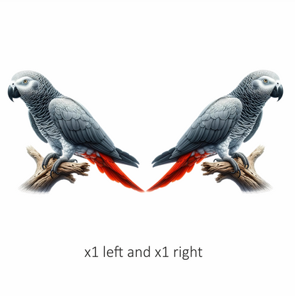 Grey Parrot Bird With Red Feathers Vinyl Sticker Decal