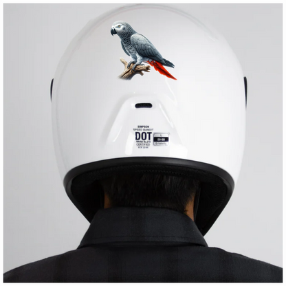 Grey Parrot Bird With Red Feathers Vinyl Sticker Decal
