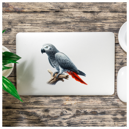 Grey Parrot Bird With Red Feathers Vinyl Sticker Decal