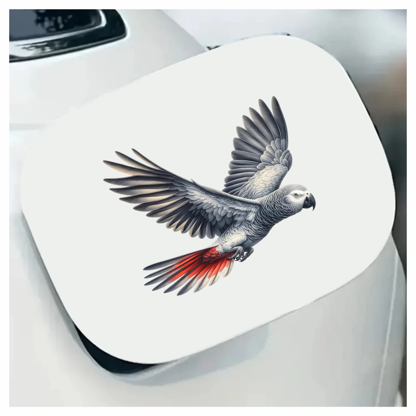 Grey Parrot Bird Flying With Wings Vinyl Sticker Decal
