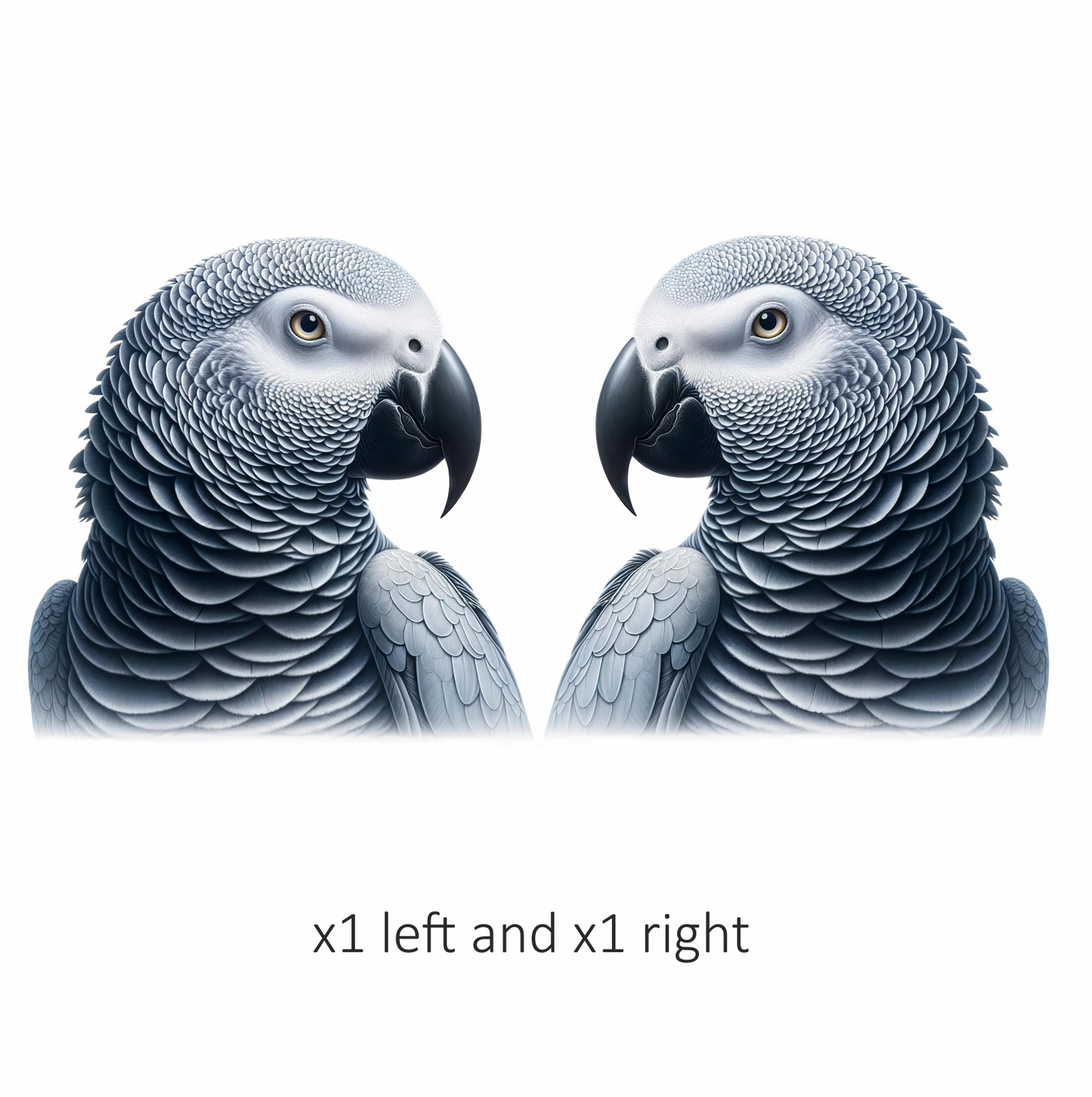 Grey Parrot Bird Head Close Up Vinyl Sticker Decal