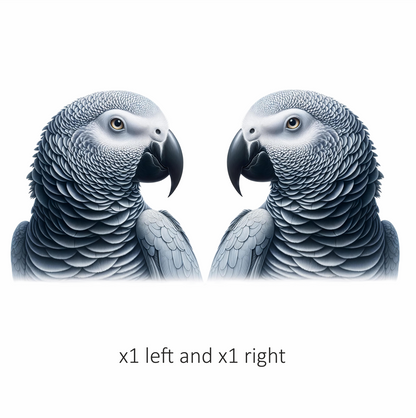 Grey Parrot Bird Head Close Up Vinyl Sticker Decal
