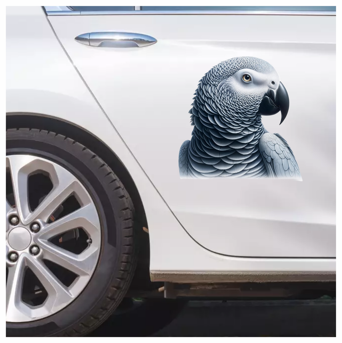 Grey Parrot Bird Head Close Up Vinyl Sticker Decal