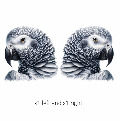 Grey Parrot African Bird Close Vinyl Sticker Decal