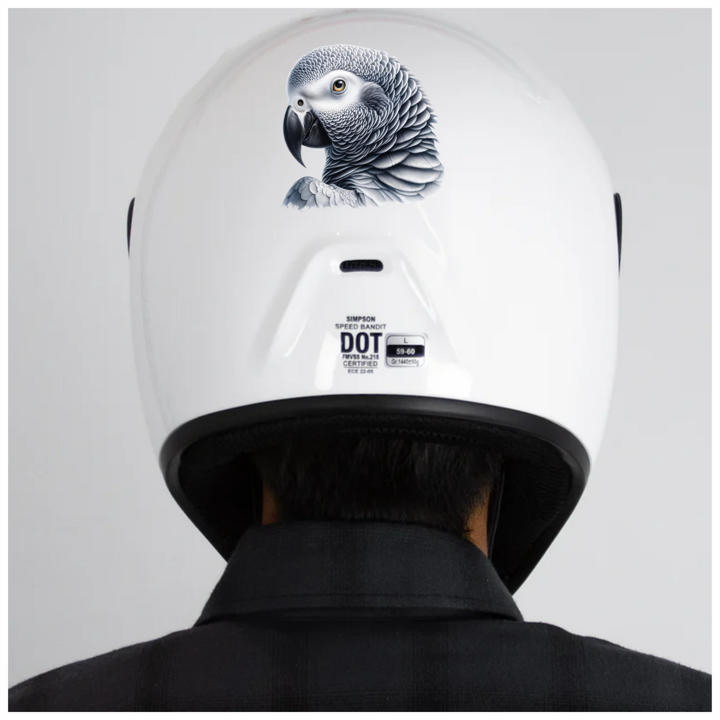Grey Parrot African Bird Close Vinyl Sticker Decal