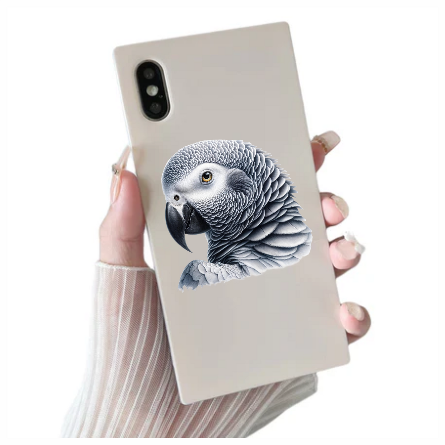 Grey Parrot African Bird Close Vinyl Sticker Decal