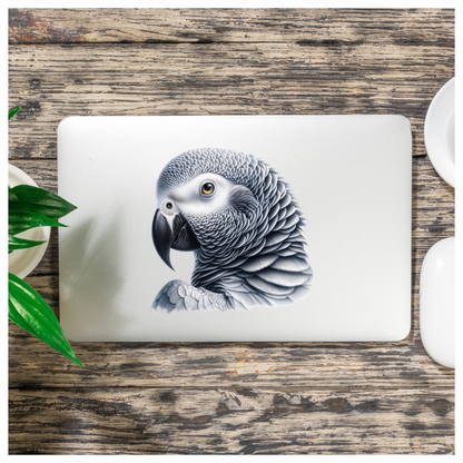 Grey Parrot African Bird Close Vinyl Sticker Decal