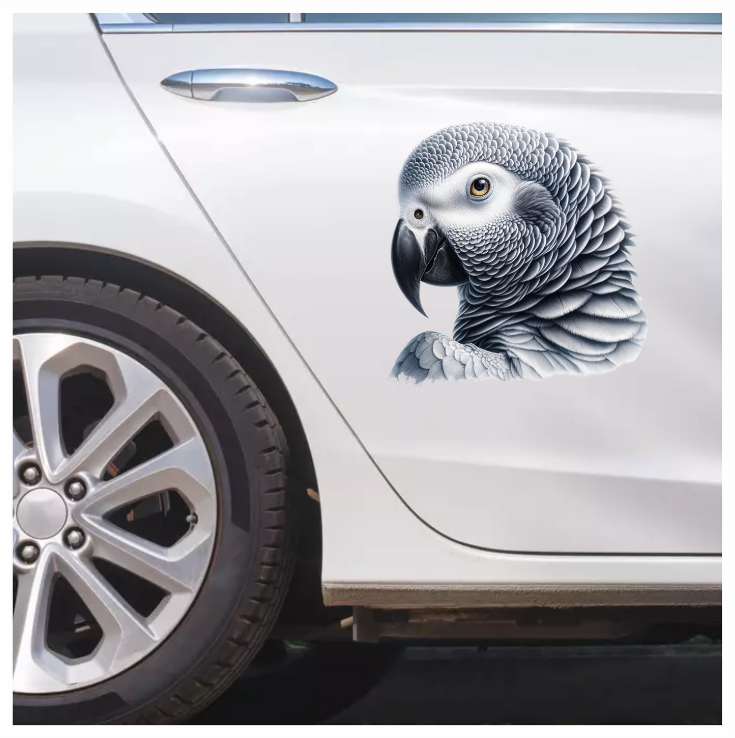 Grey Parrot African Bird Close Vinyl Sticker Decal