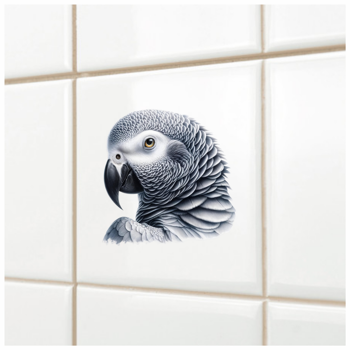 Grey Parrot African Bird Close Vinyl Sticker Decal
