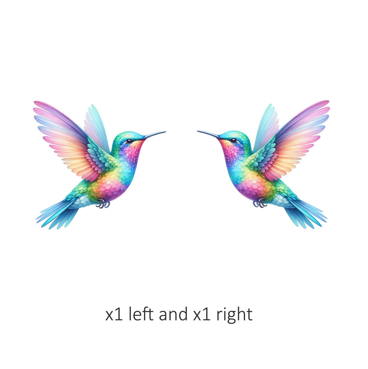 Rainbow Hummingbird Bird Flying With Wings Vinyl Sticker Decal