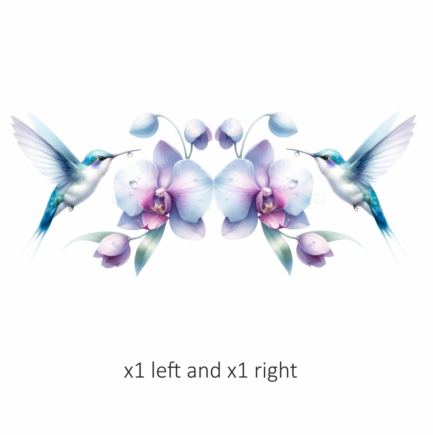 White Hummingbird Bird Flying Near Orchid Vinyl Sticker Decal
