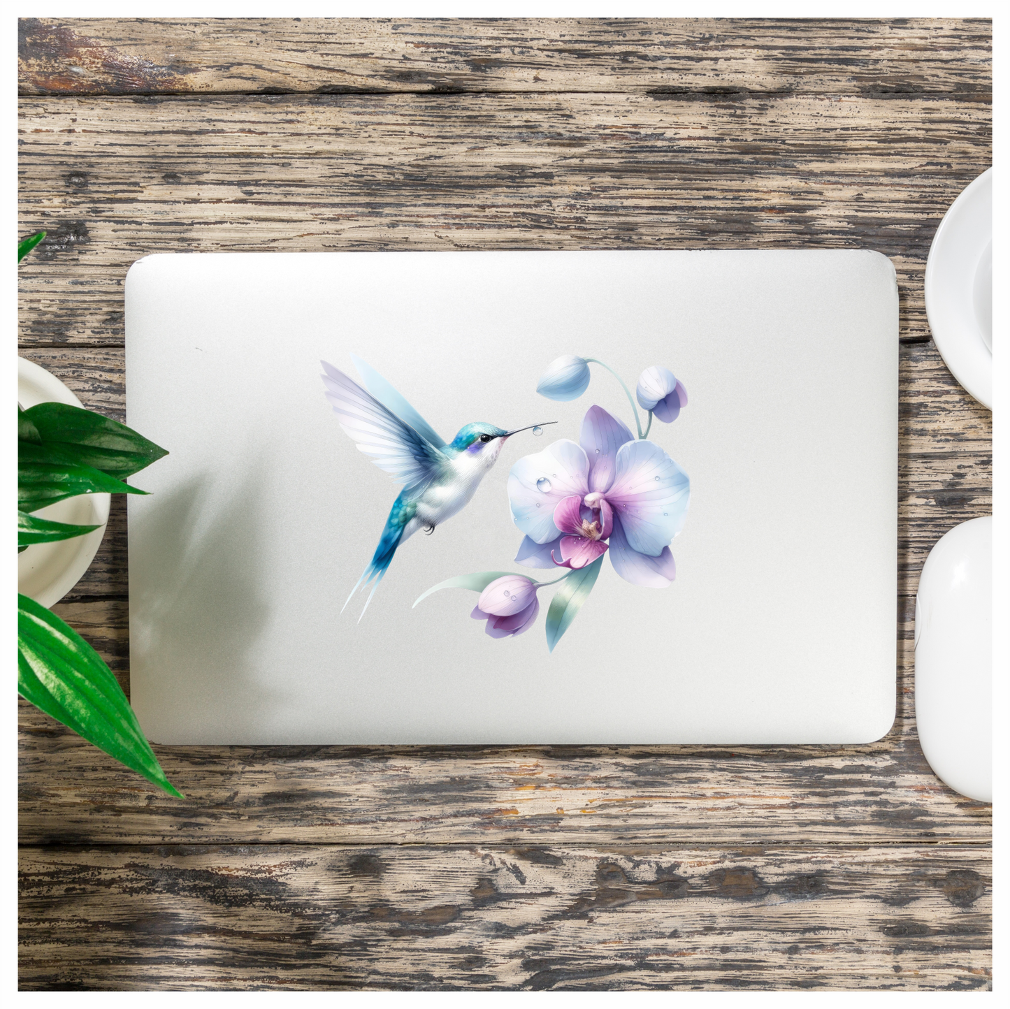 White Hummingbird Bird Flying Near Orchid Vinyl Sticker Decal