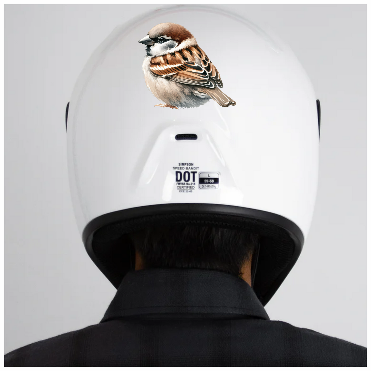 Brown Sparrow Bird With White Feathers Vinyl Sticker Decal