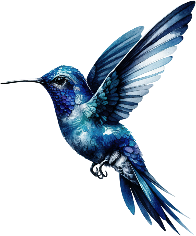 Blue Hummingbird Flying Open Wings Vinyl Sticker Decal
