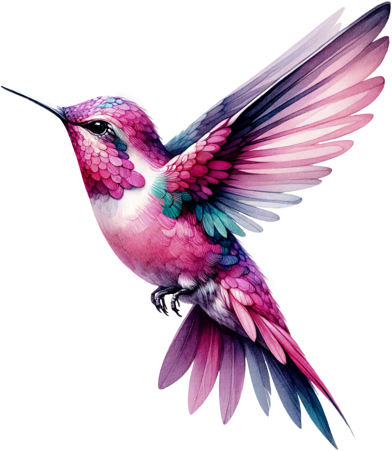 Pink Hummingbird Flying Spread Wings Vinyl Sticker Decal