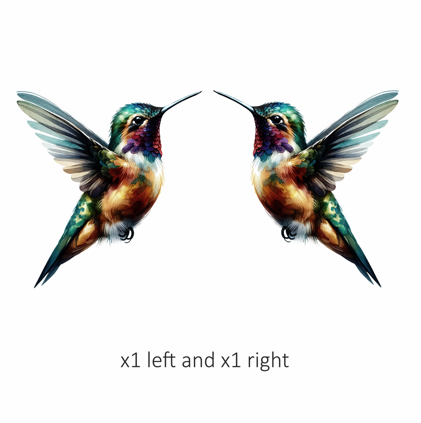 Multicolor Hummingbird Flying Open Wings Vinyl Sticker Decal